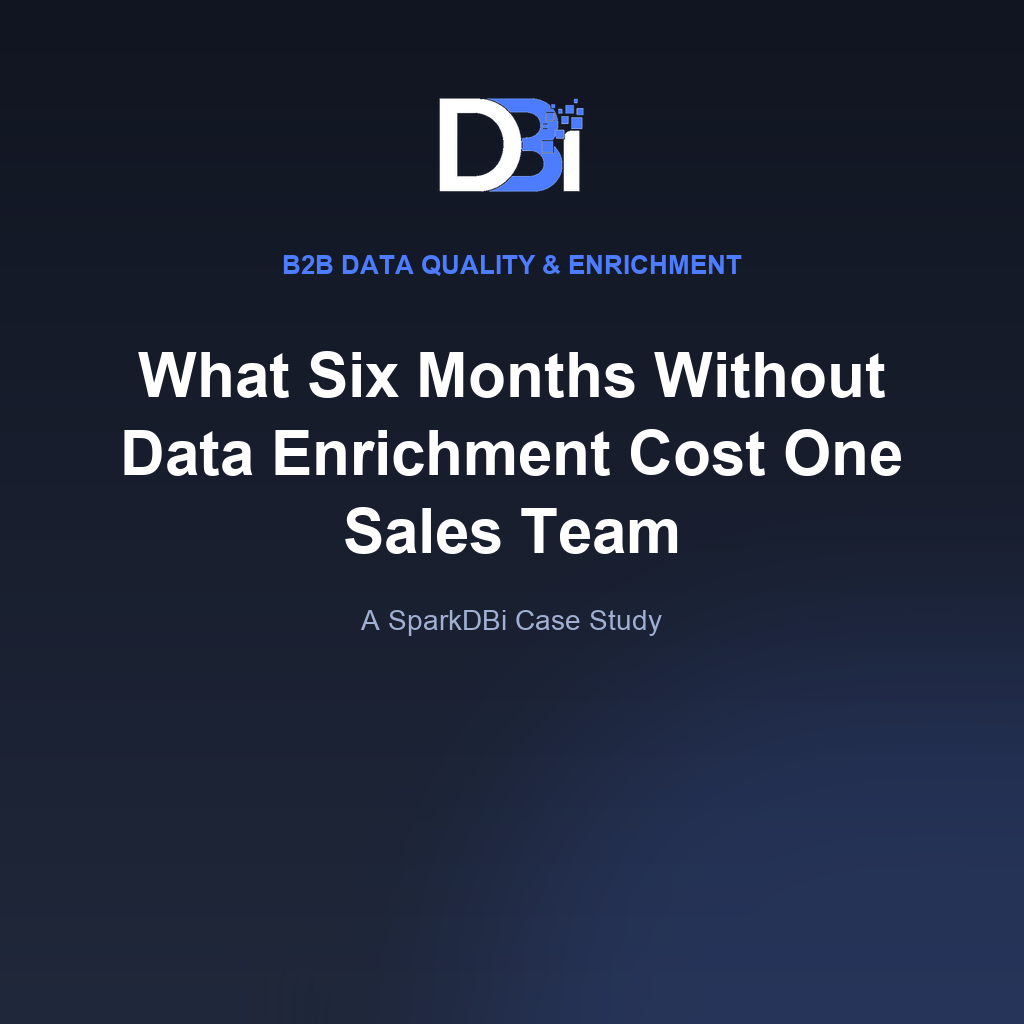 What Six Months Without Data Enrichment Cost One Sales Team
